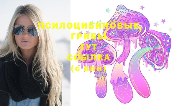 эйфоретик Осташков