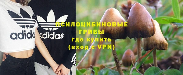 метадон Арсеньев