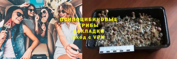 apvp Остров