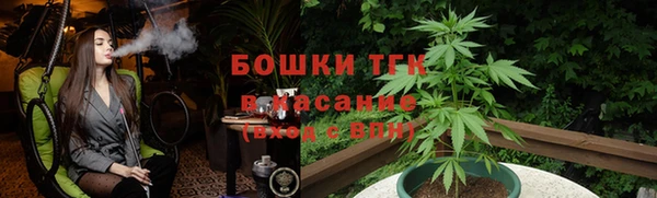 эйфоретик Осташков