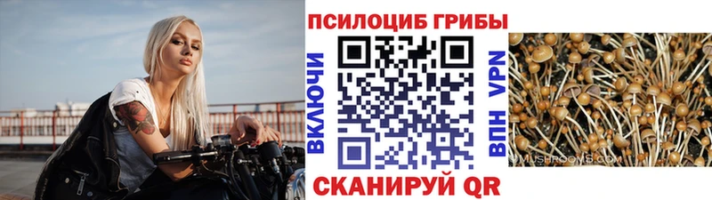 Галлюциногенные грибы GOLDEN TEACHER Ветлуга