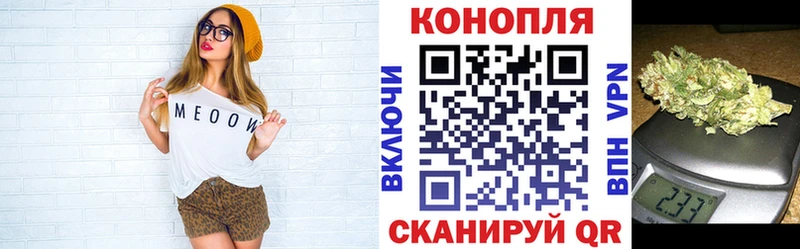 Каннабис OG Kush  Ветлуга 
